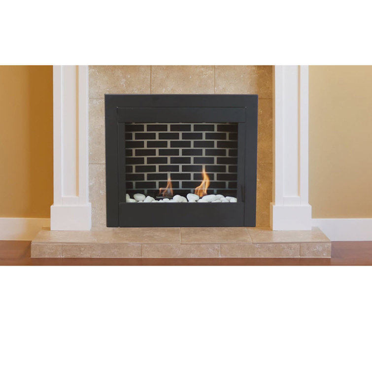 Paramount Wall Mounted Gel Fuel Fireplace Insert Wayfair.ca